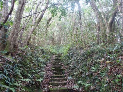 階段登り