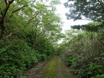 山頂からの下り