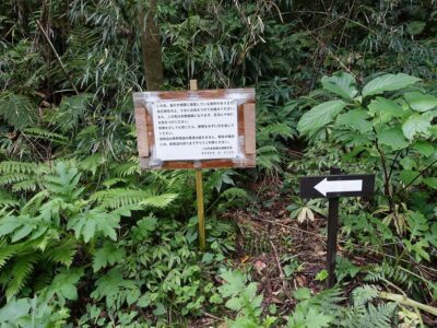 唐滝への路