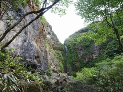 唐滝