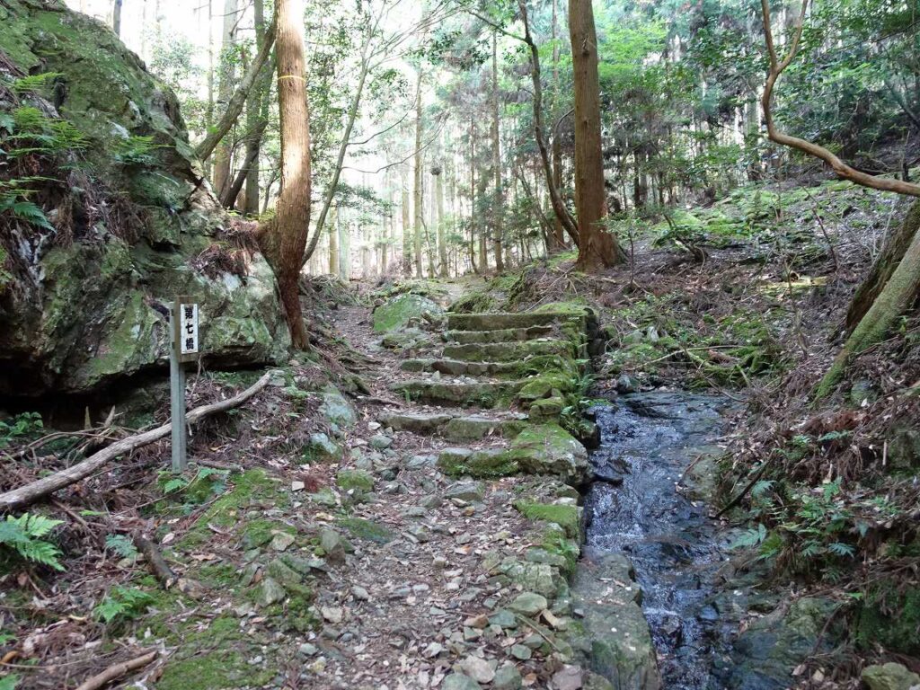 音羽山登山道