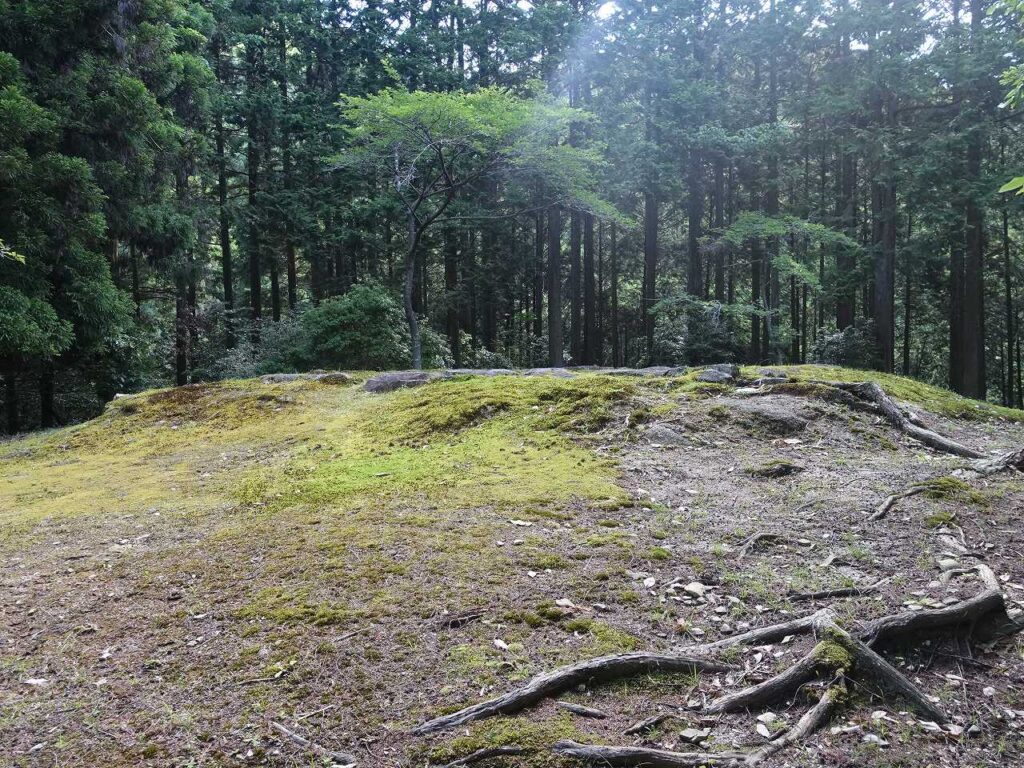 崇福寺跡