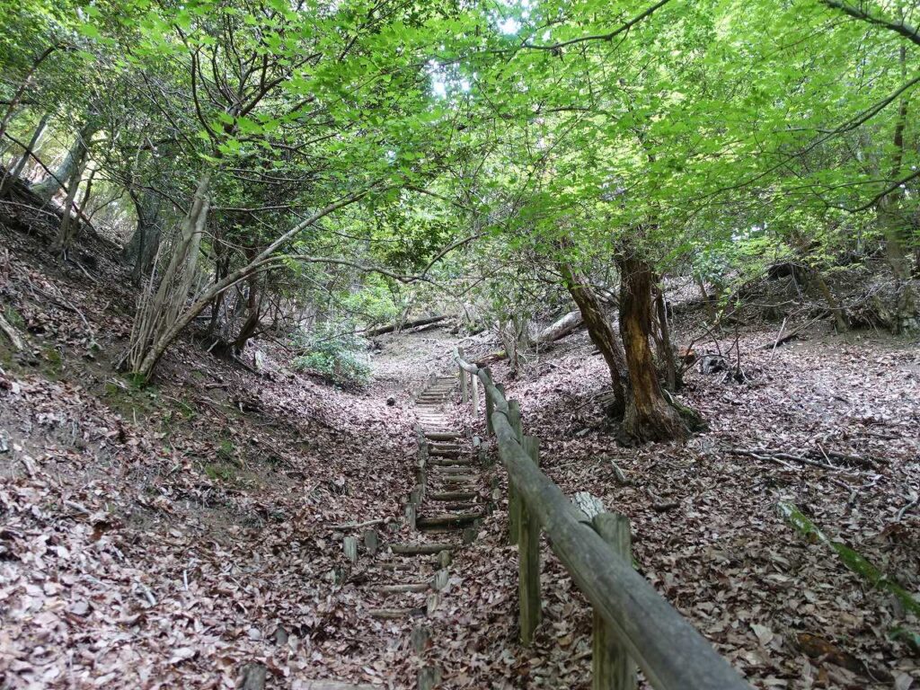 夢見が丘へ登り