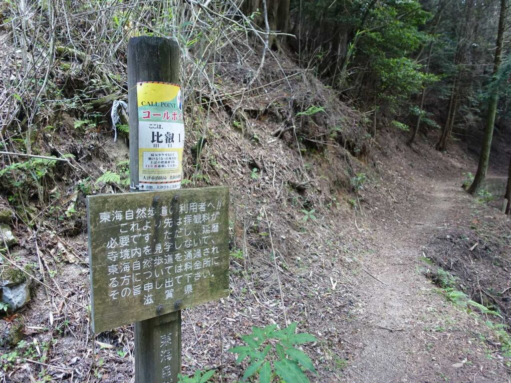 これより先拝観料