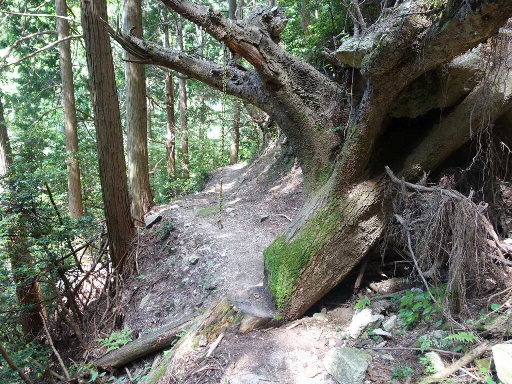 弁天堂への山道