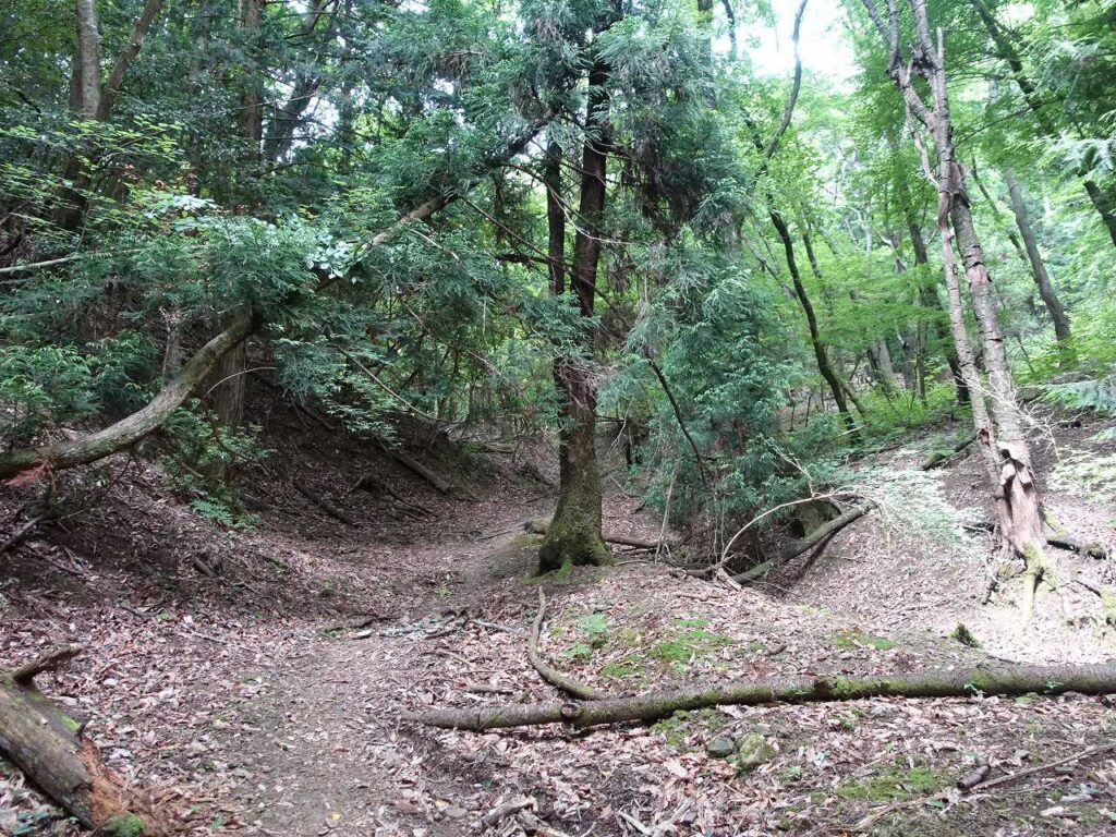 杉谷へ