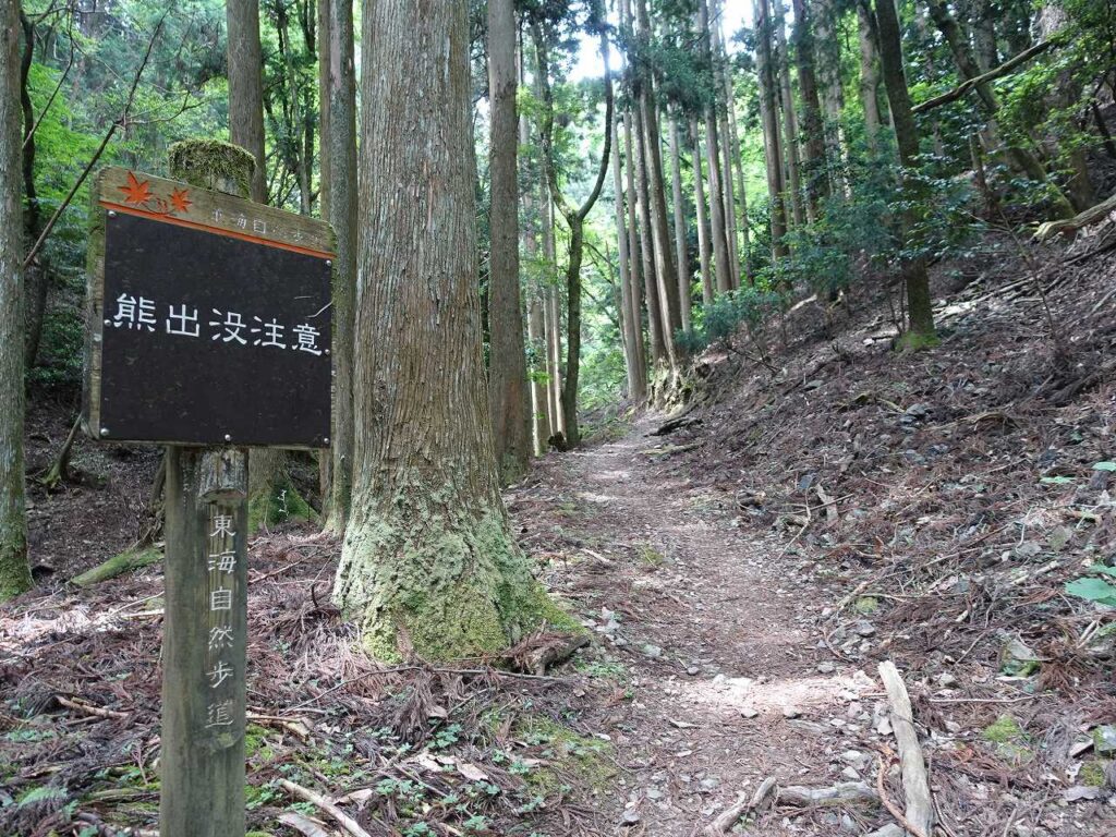 ポンポン山へ登る