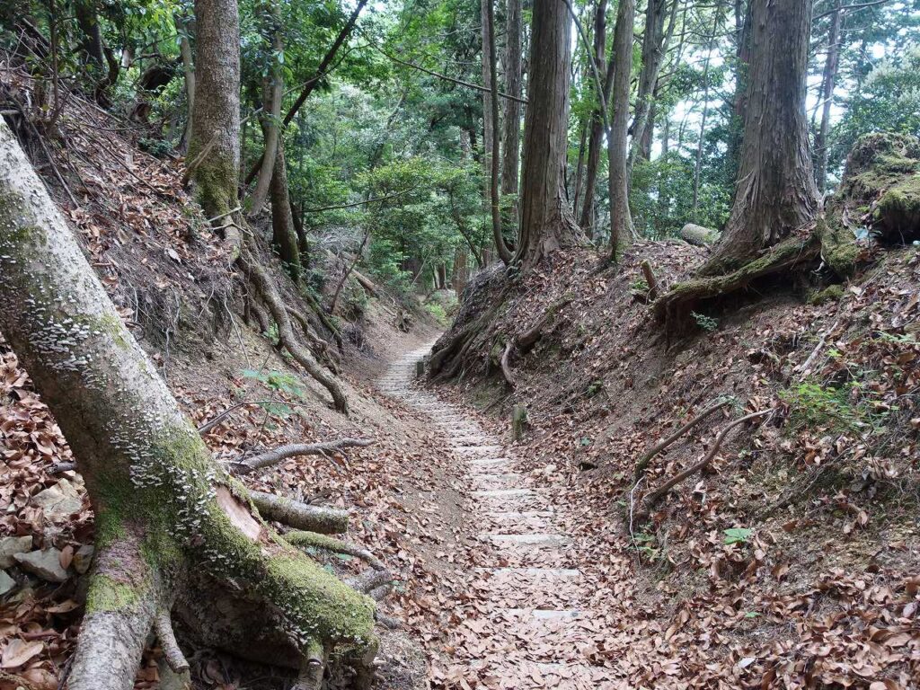 ﾎﾟﾝﾎﾟﾝ山下り