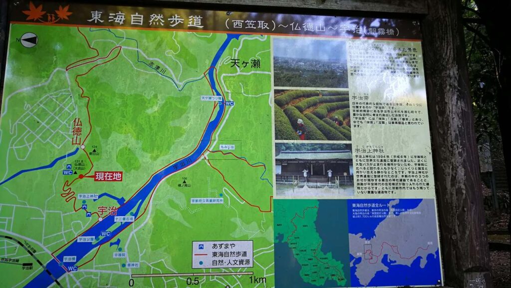 案内板