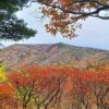 安達太良山 紅葉