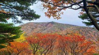 安達太良山 紅葉