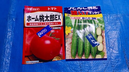 トマト、キュウリ種