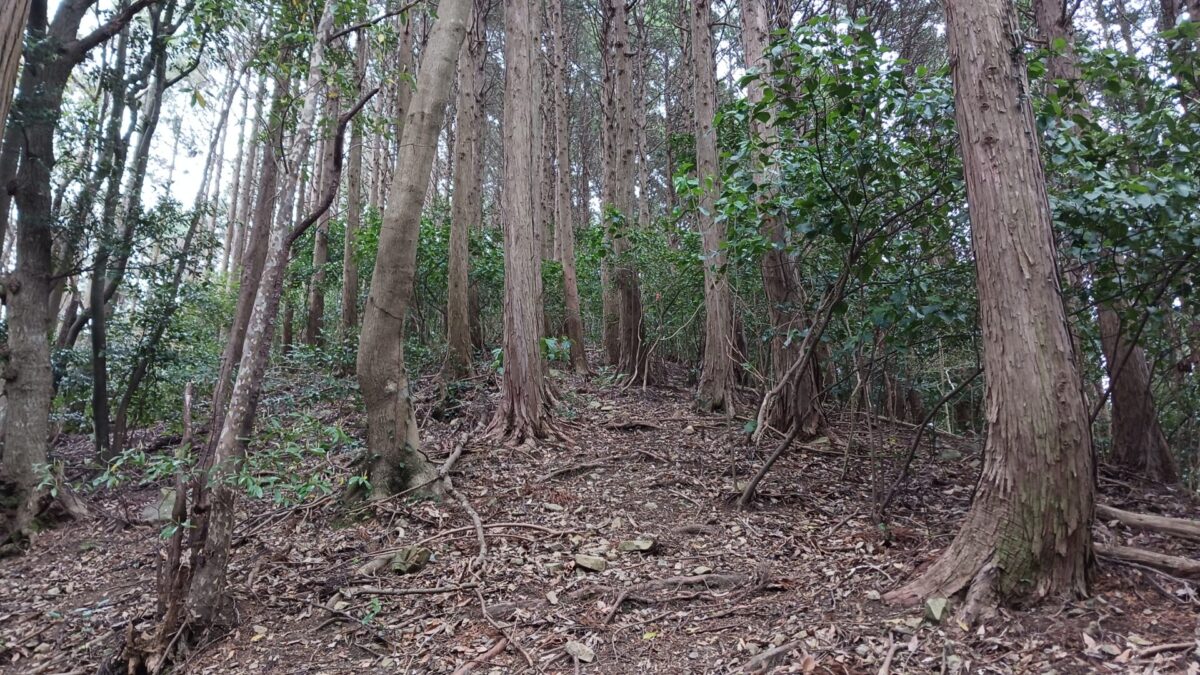 津屋岳登山口