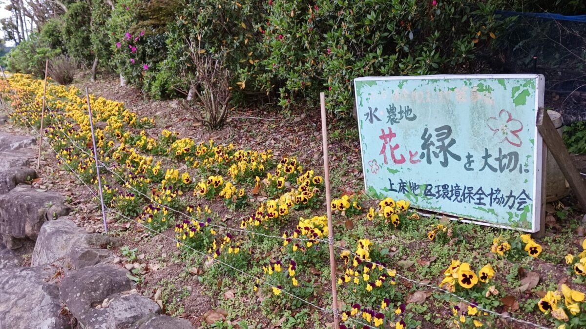 花と緑