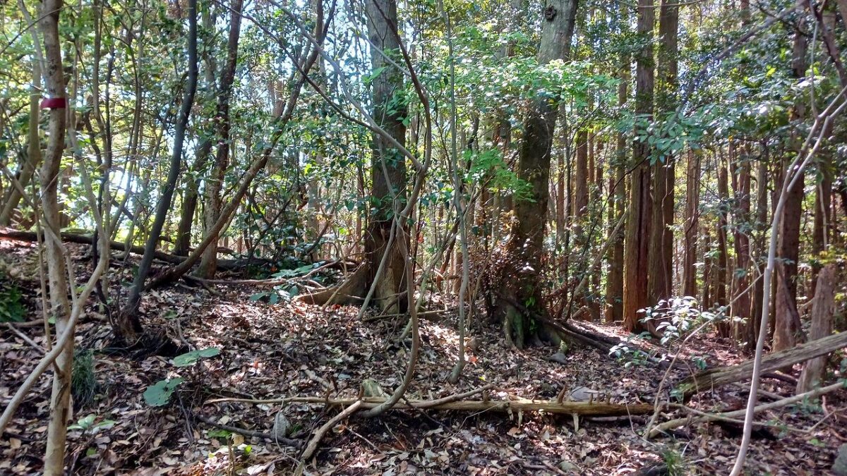 山道歩き