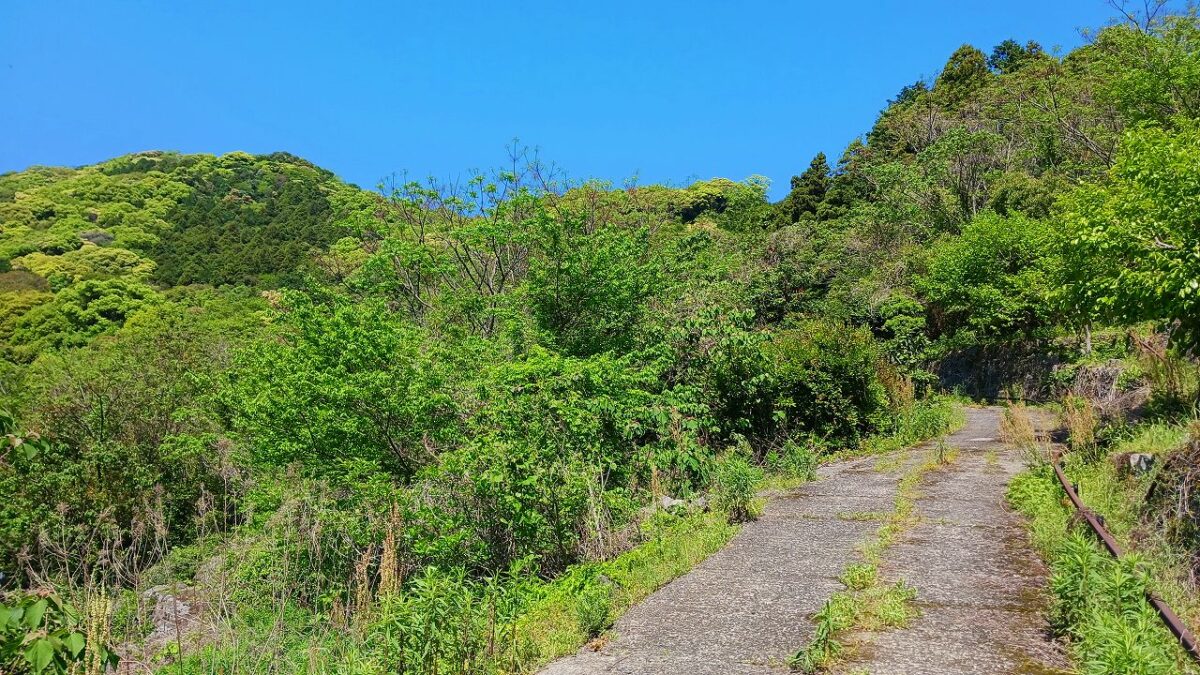 コース間違え農道に合流