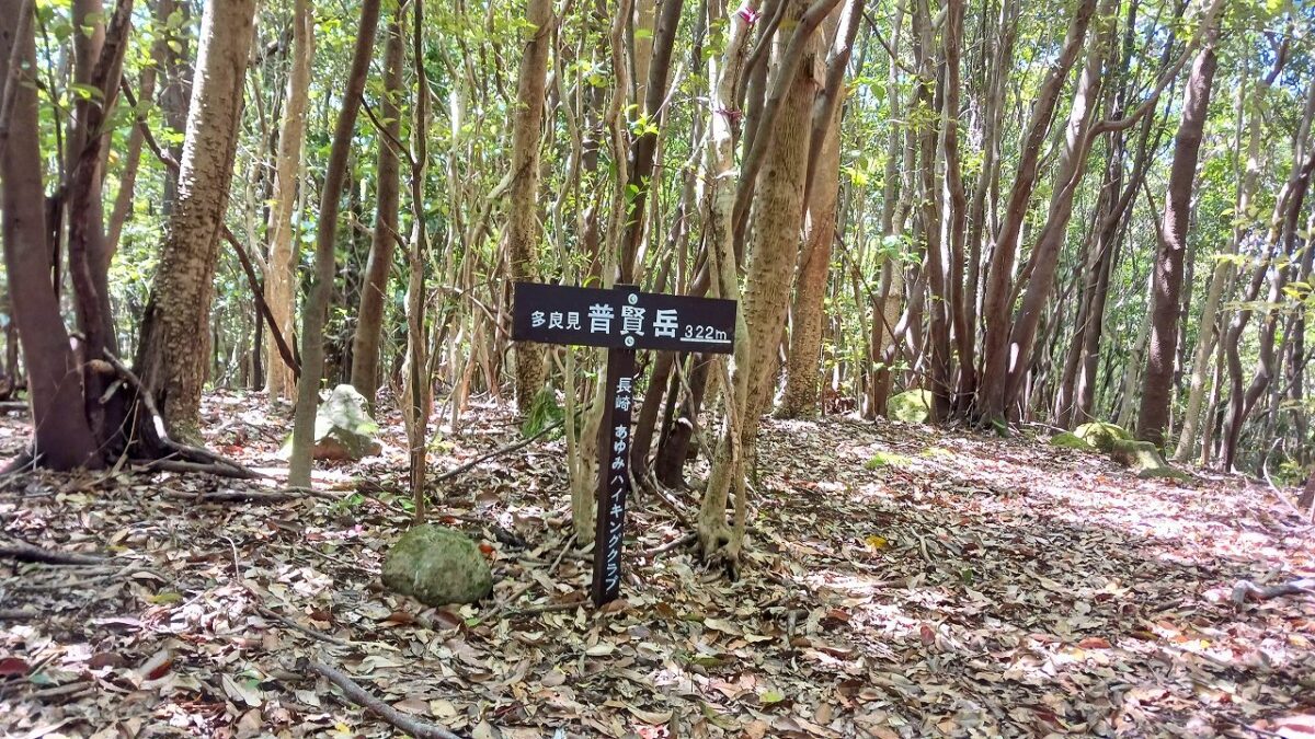 多良見普賢岳