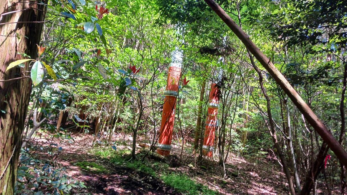 林道脇に無線塔