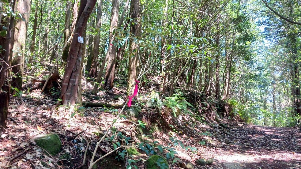 林道から鎌倉山へ入る