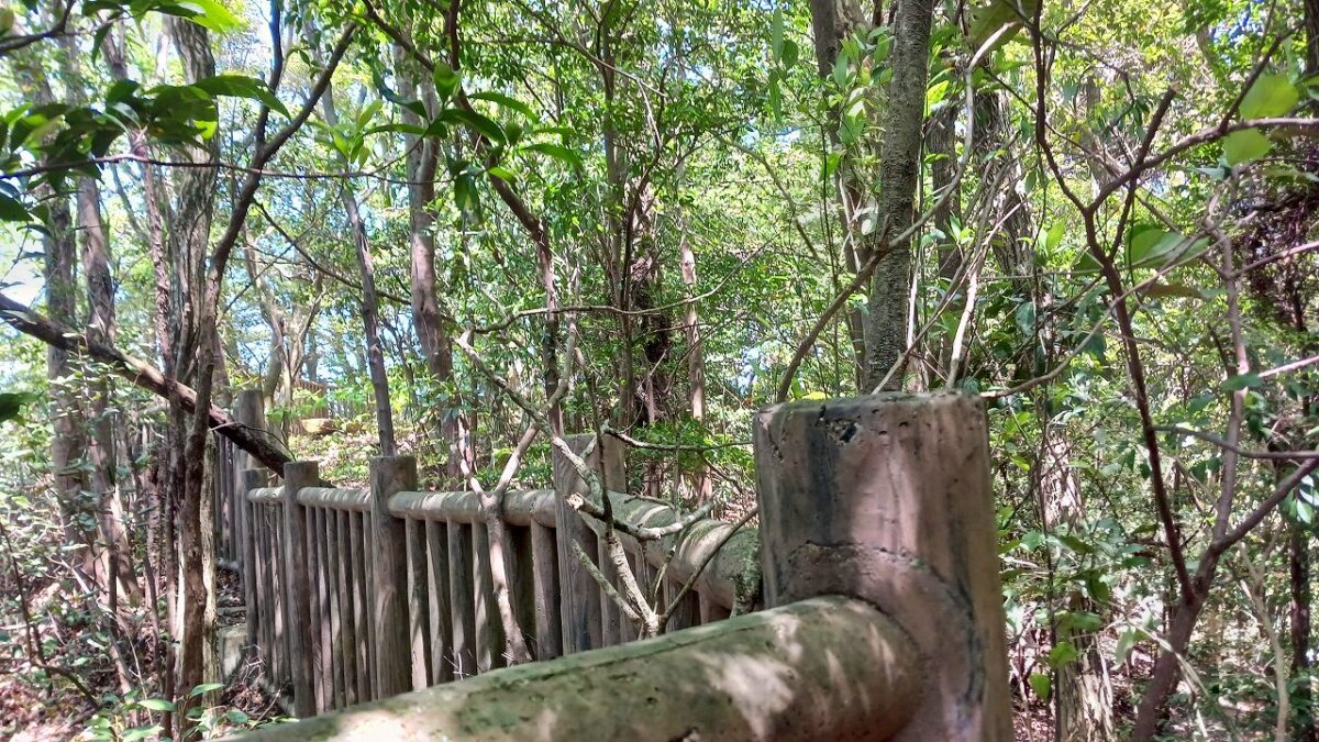 虚空蔵山公園