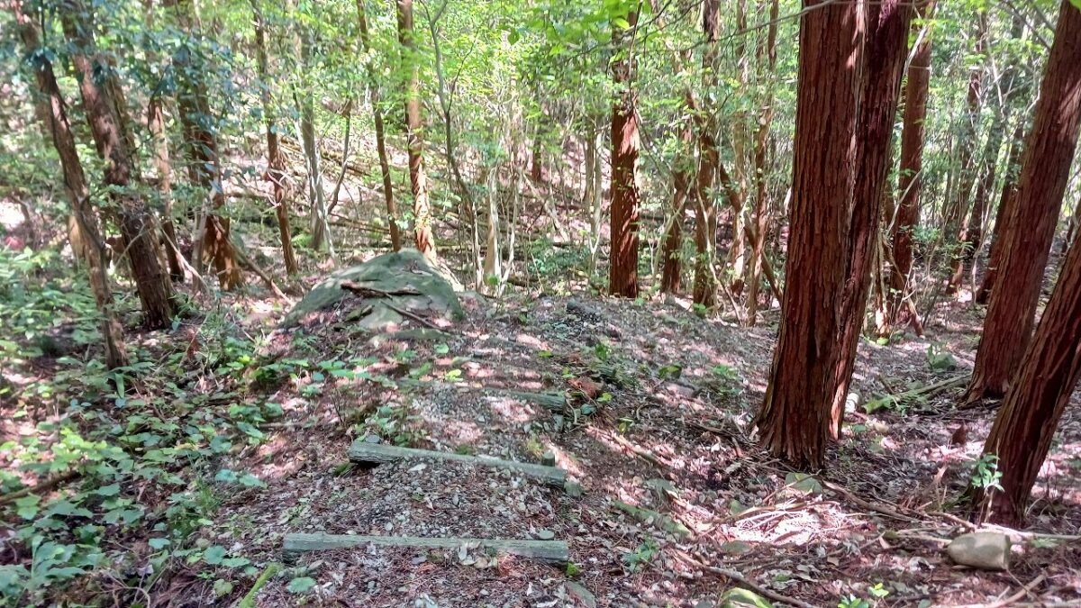 虚空蔵山からの下山
