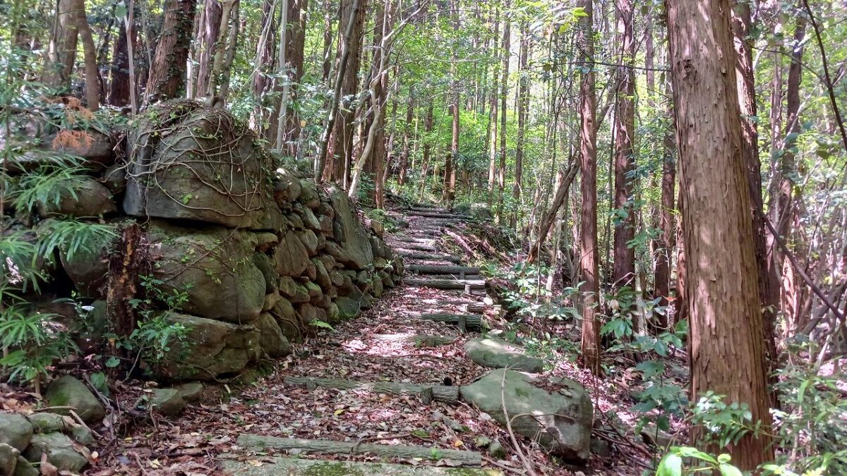 虚空蔵山からの下山