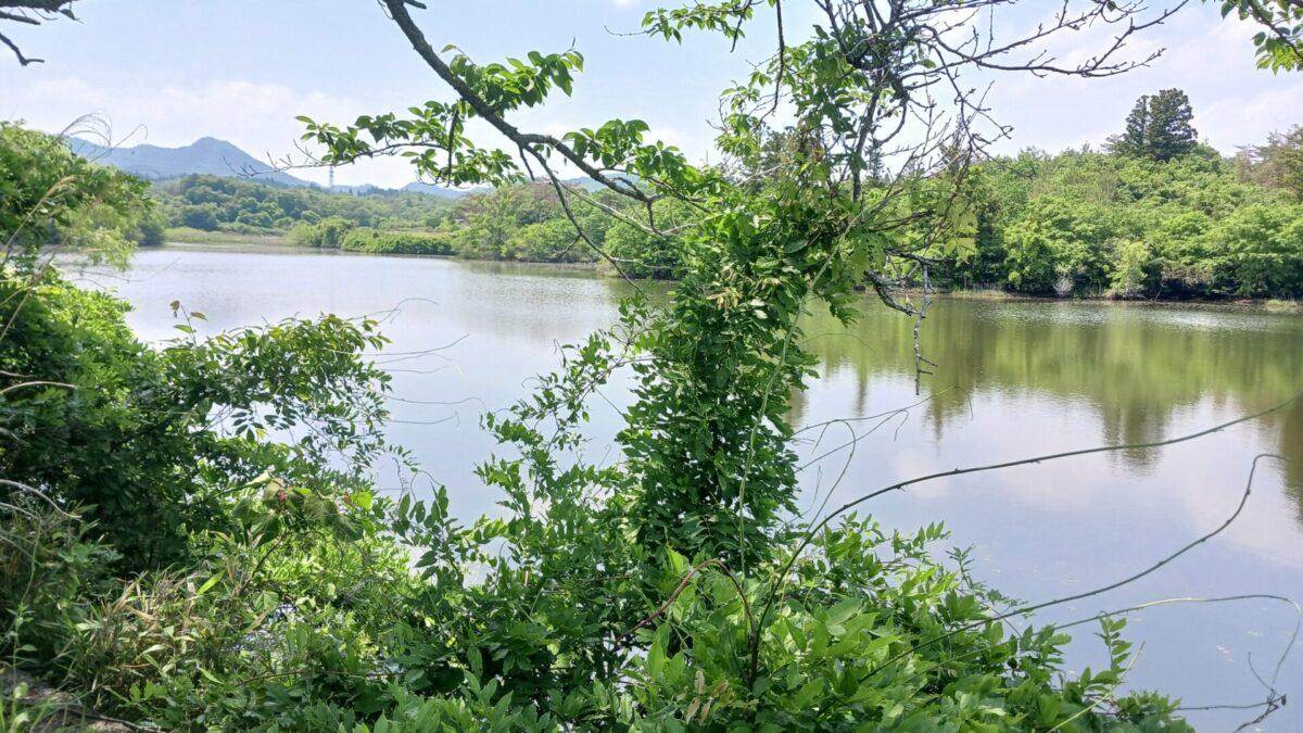 みさご沢池