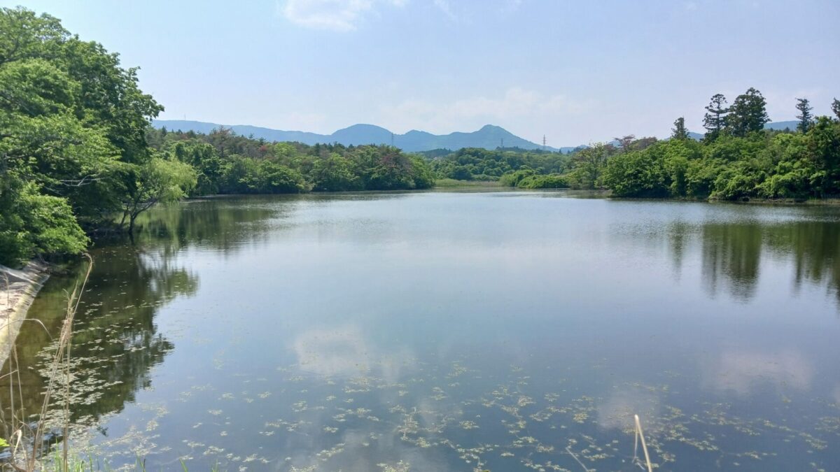 みさご沢池