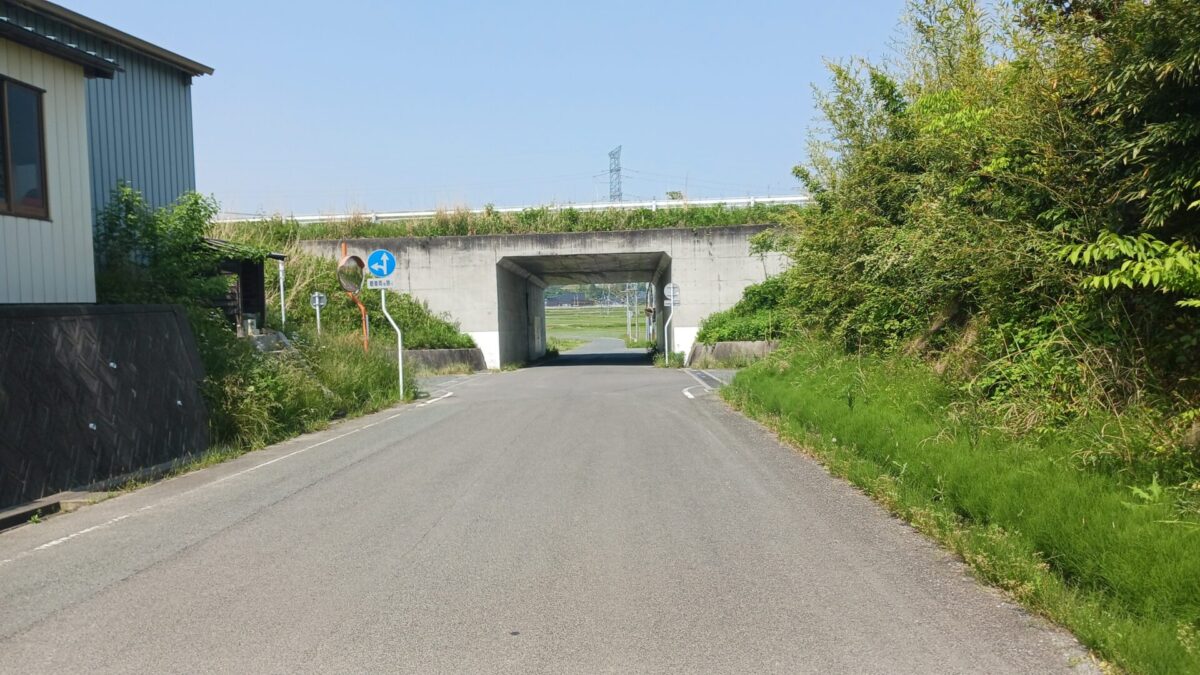 国道113号線下くぐる
