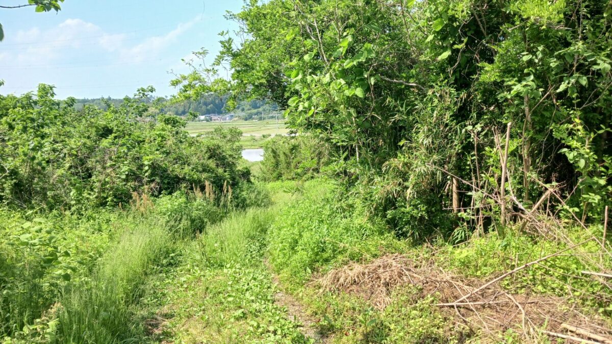 最後の山道