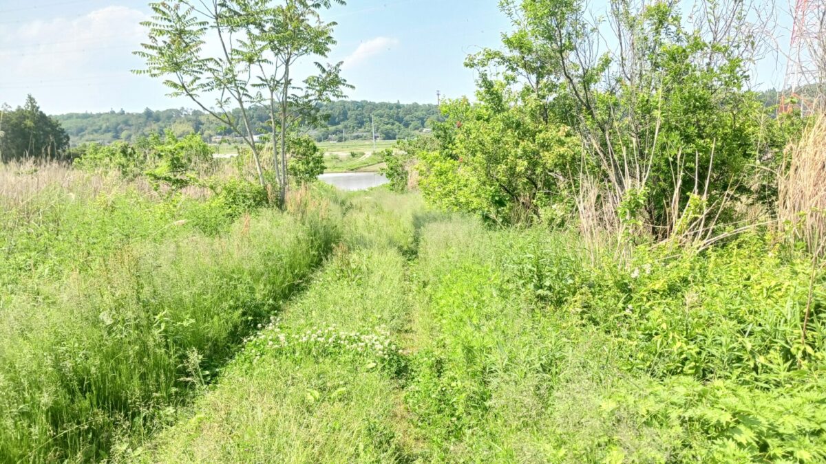 最後の山道