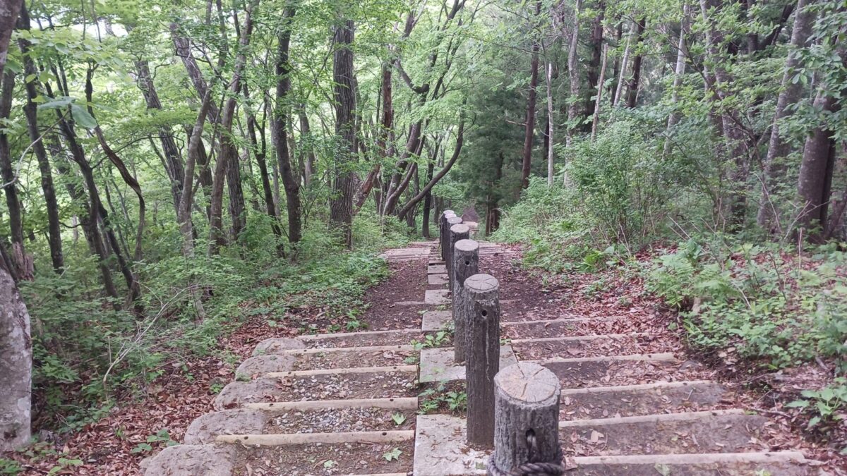鹿狼山からの下り