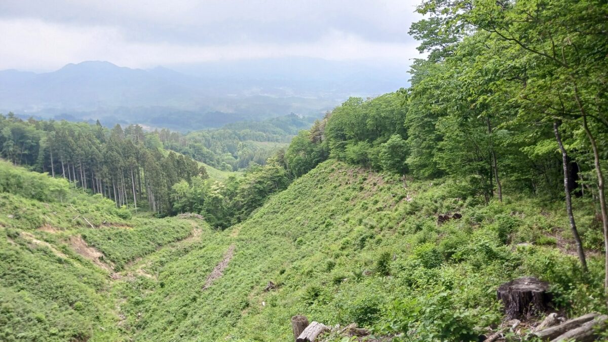 道を間違える左折して下る