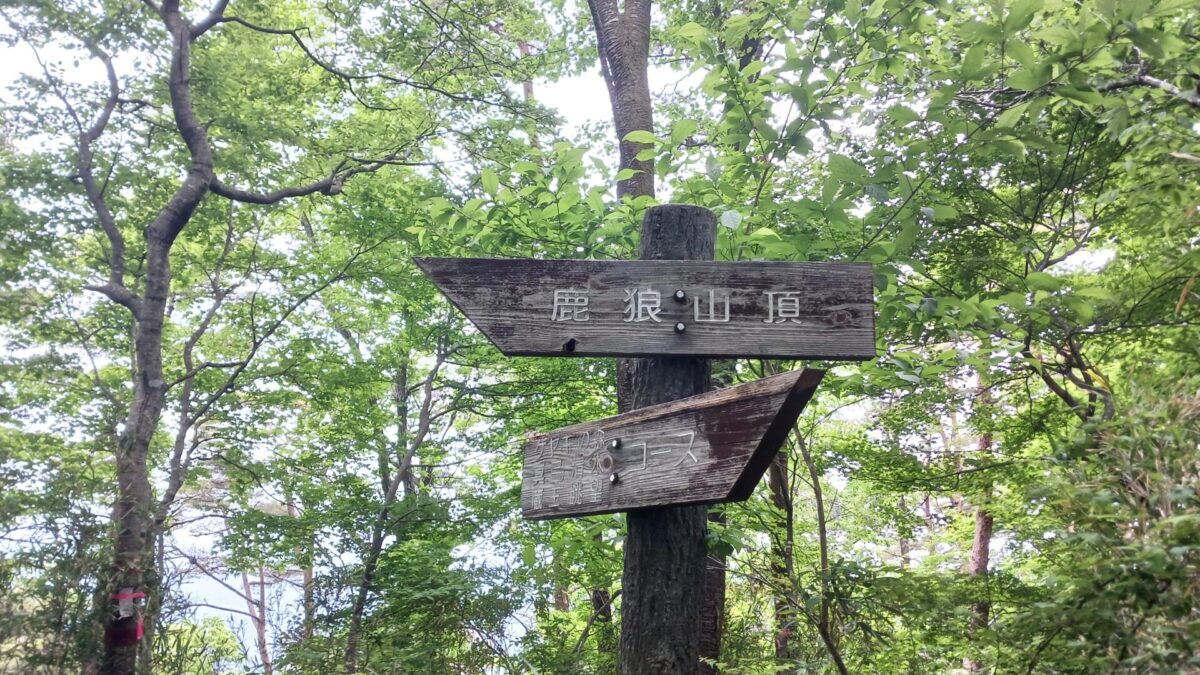 前の道しるべまで戻る
