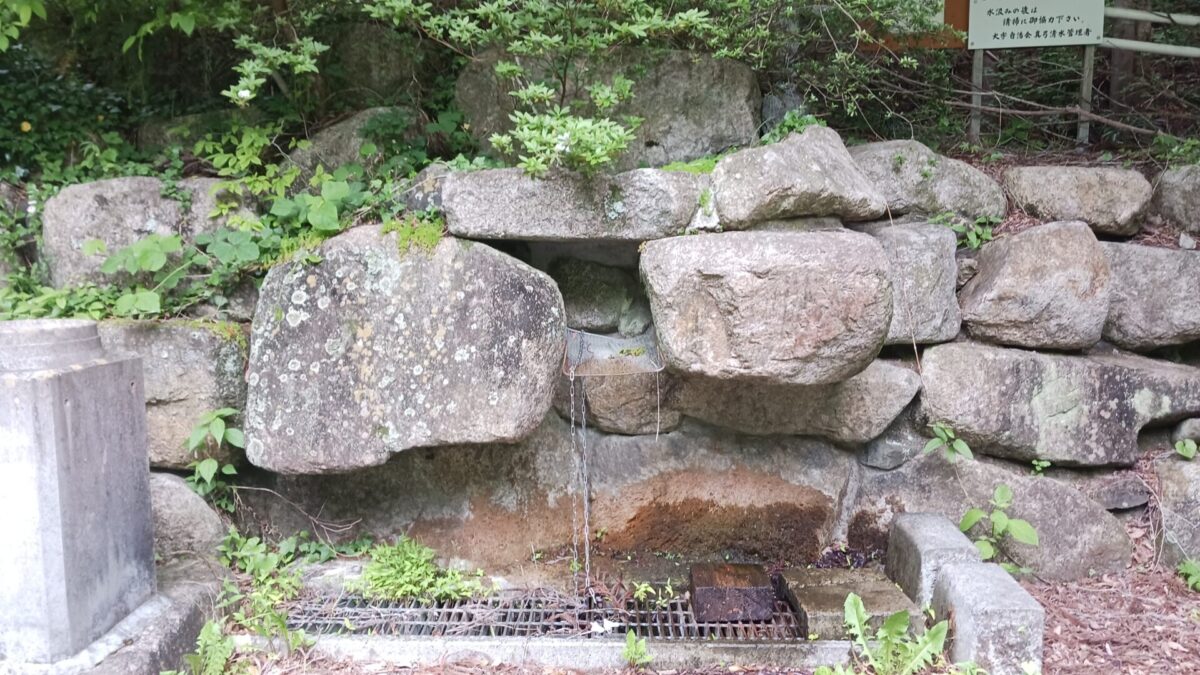 枯れてました
