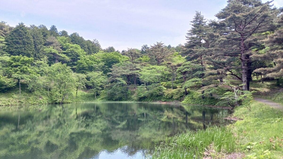 半田沼