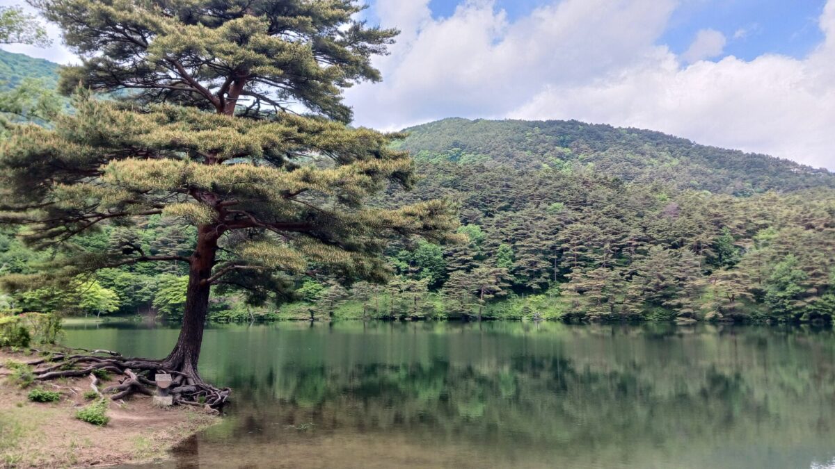 半田沼