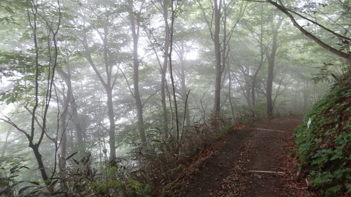 濃霧の登山道