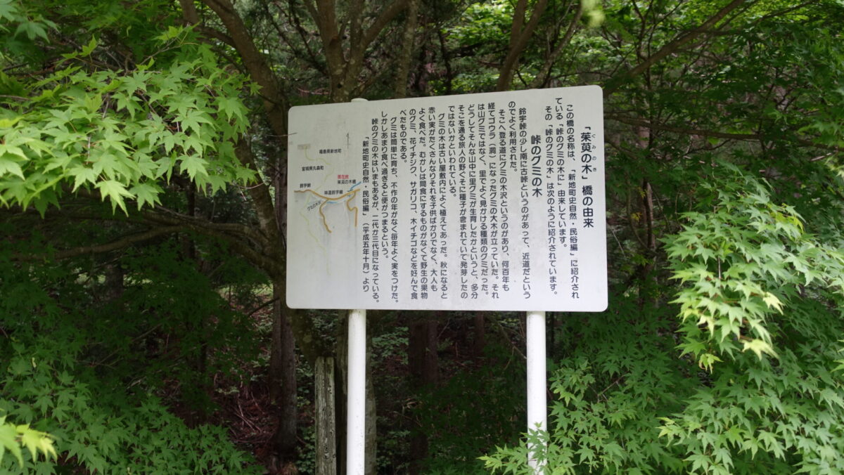 ぐみの木橋