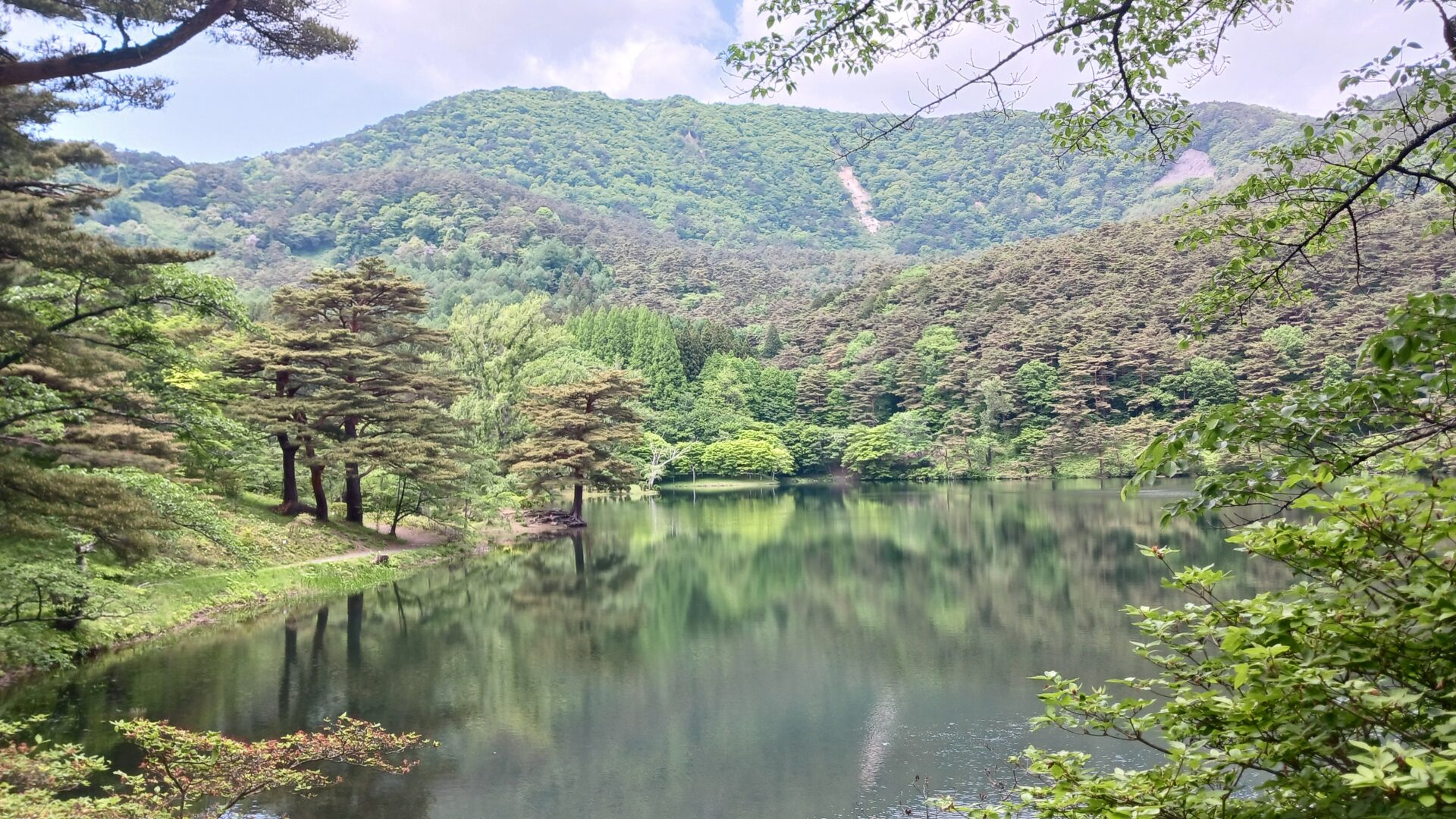 半田山と半田沼