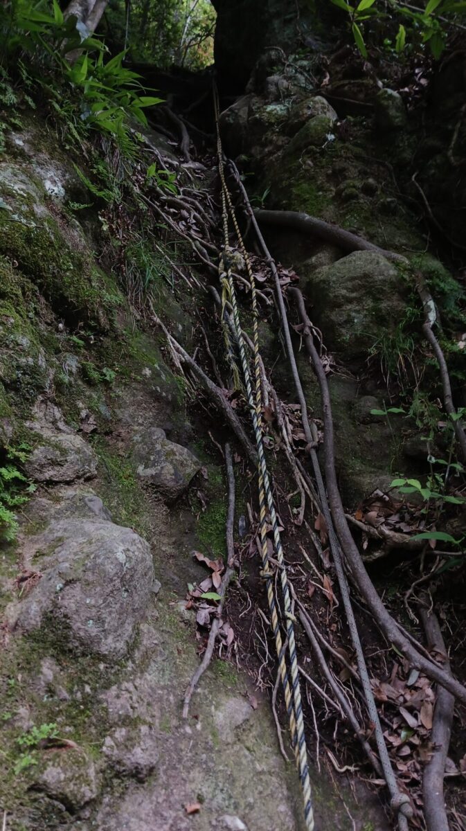 稗ノ岳登り