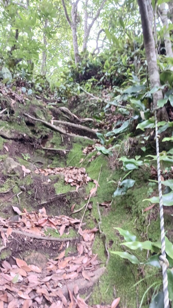 稗ノ岳登り