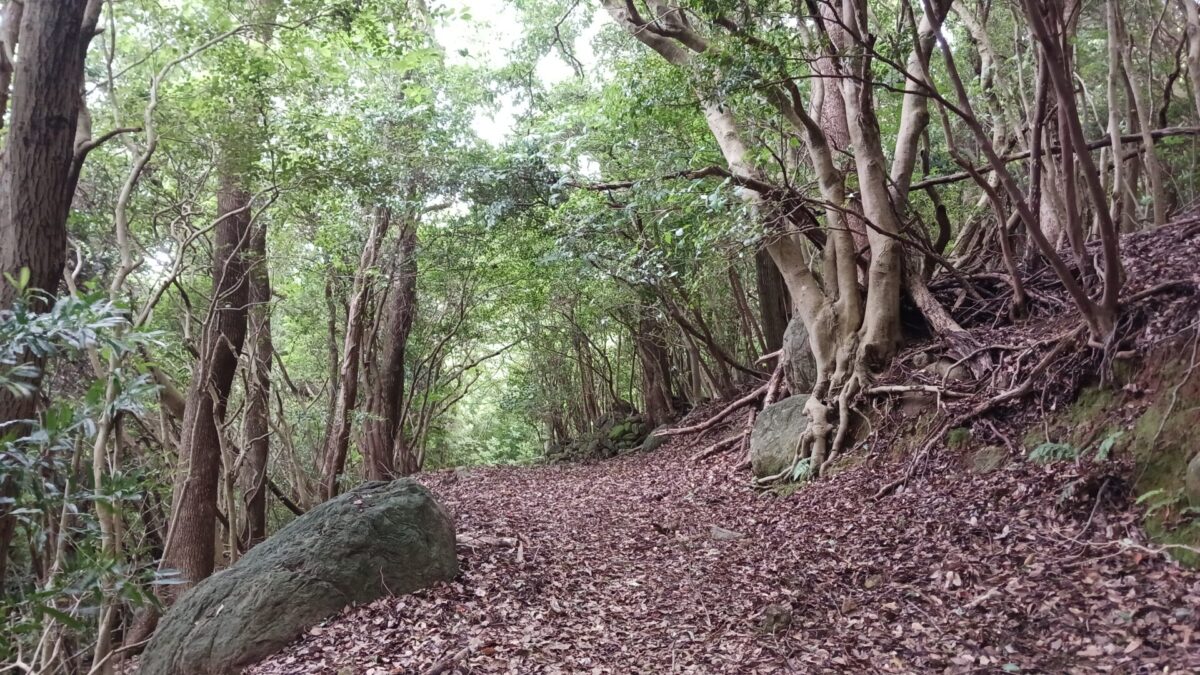 山道歩き