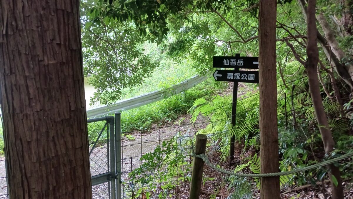 林道に合流