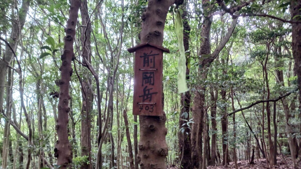 前岡岳