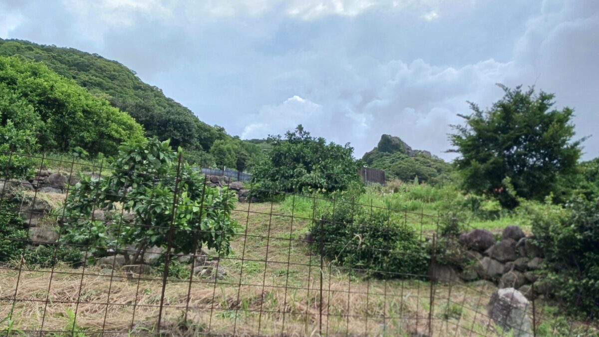 稗ノ岳
