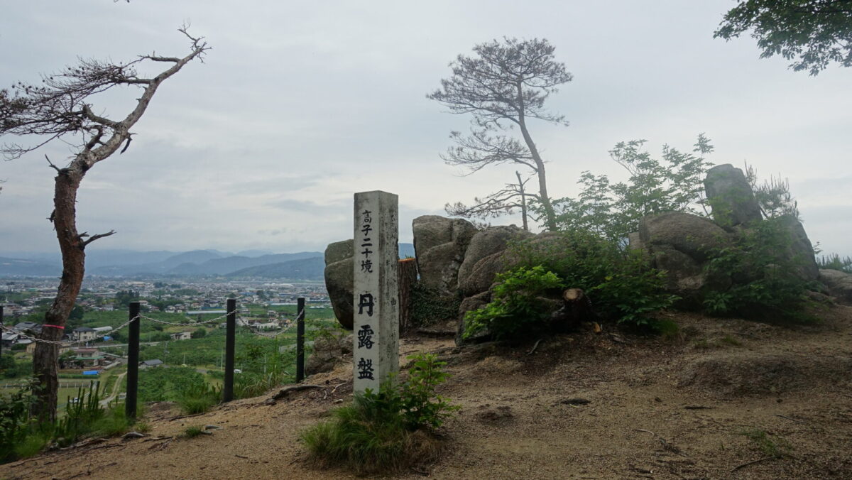 丹露盤