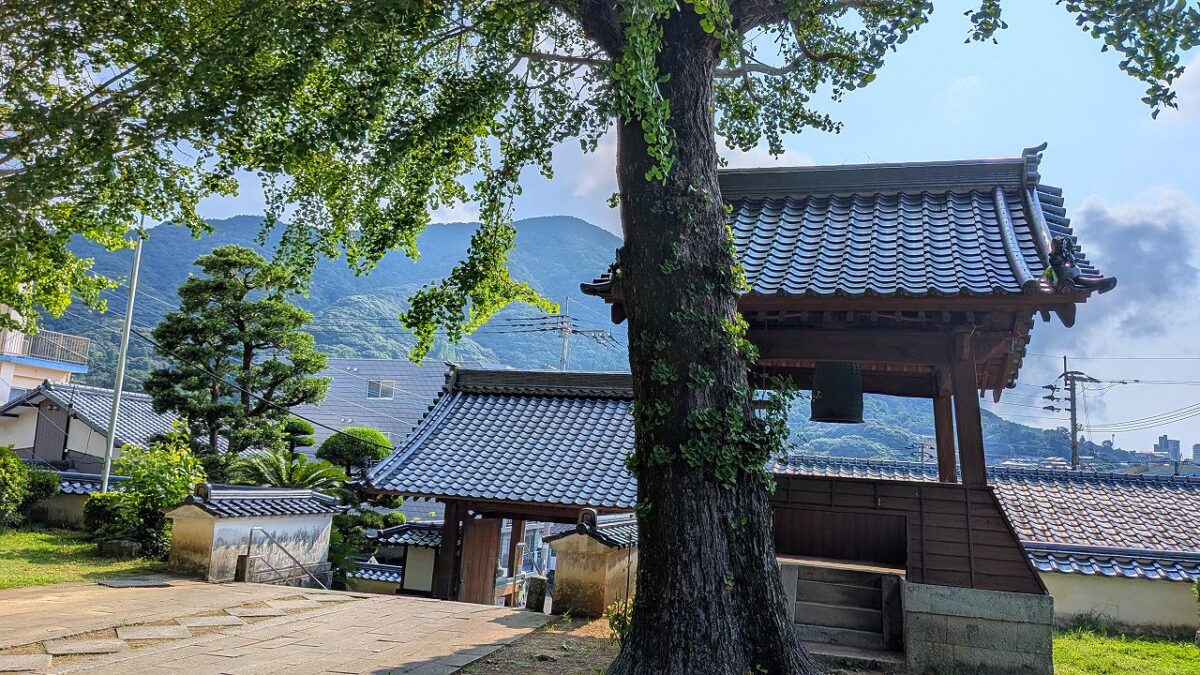 教宗寺