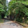 長崎街道　日見峠