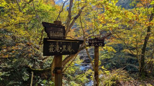 道しるべと紅葉
